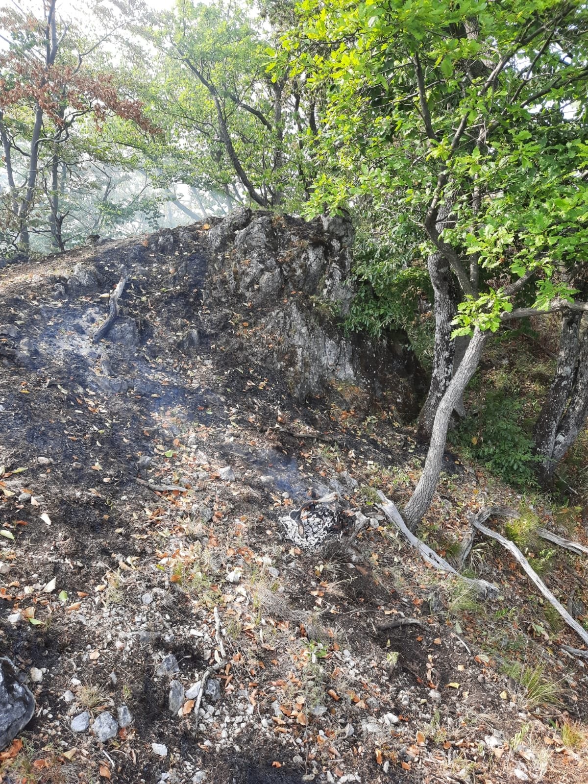 Požiar lesa v Národnom parku Veľká Fatra hasia za pomoci vrtuľníka.