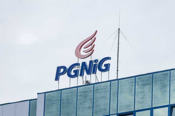 logo PGNIG