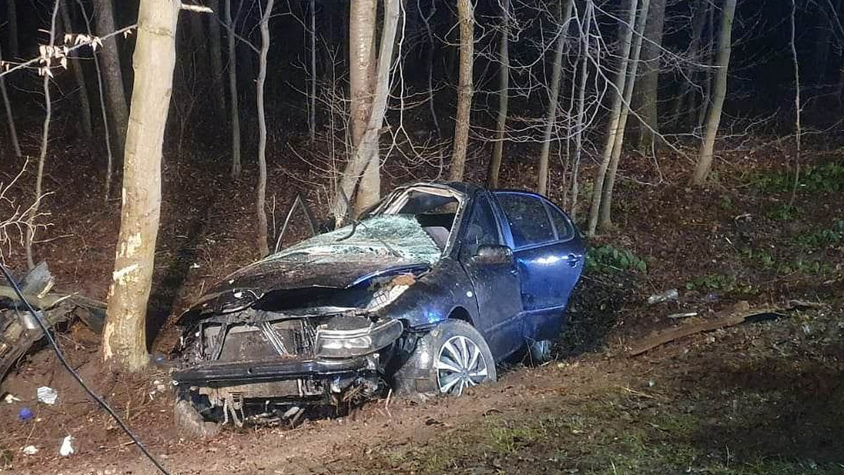 16-latka zginęła w wypadku. Samochód roztrzaskał się na drzewie 