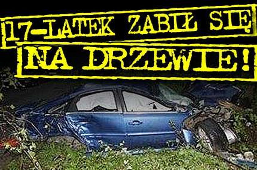 17-latek zabił się na drzewie!