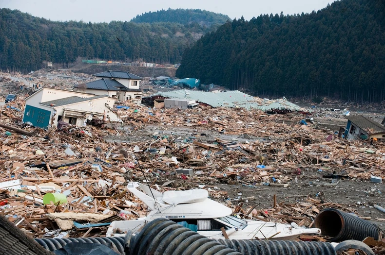Posledice zemljotresa i cunamija u Japanu 2011.