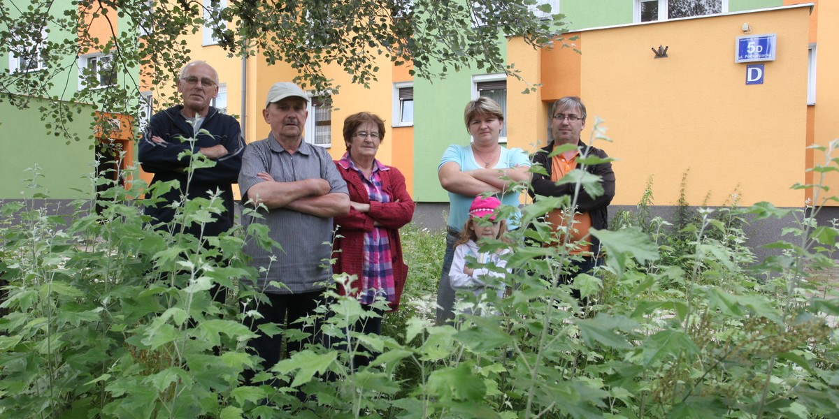 osiedle Niedźwiednik w Gdańsku