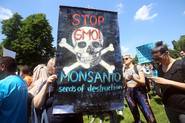 Protest przeciwko korporacji Monsanto