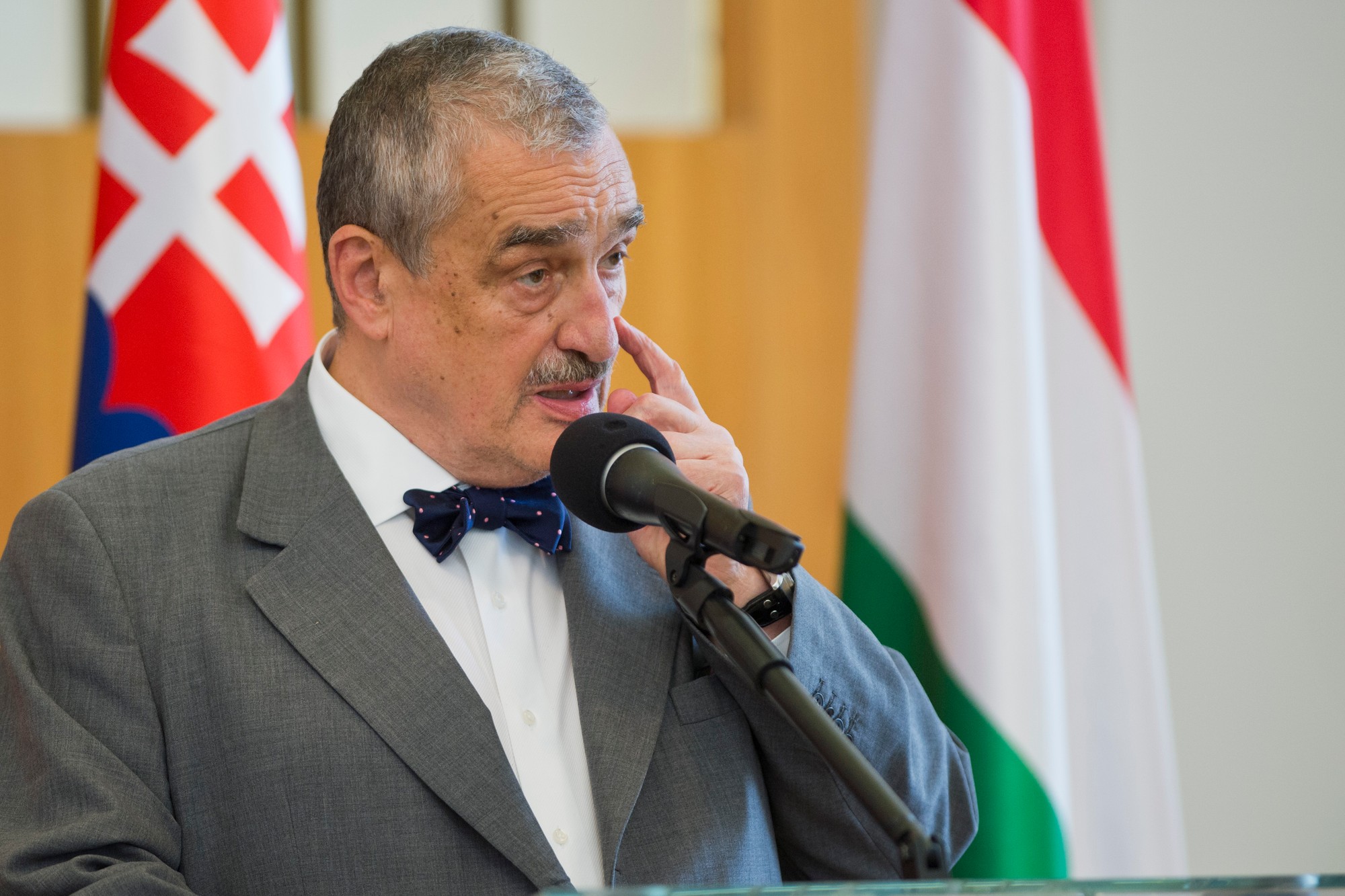Politik Karel Schwarzenberg.