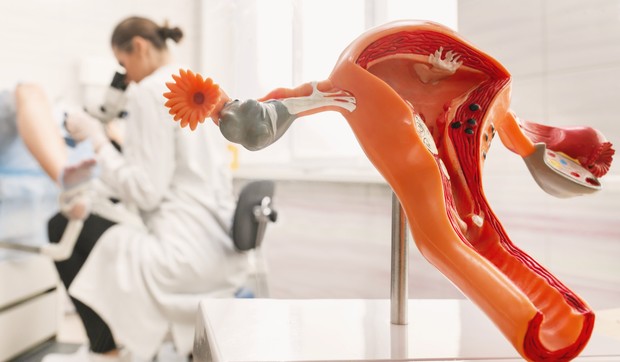 Bakterijska vaginoza zapravo je polno prenosiva bolest, otkriva nova studija