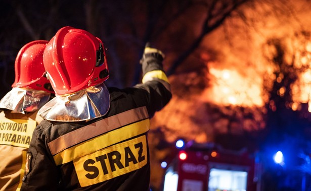 Strażacy ze Szwecji gotowi pomóc w gaszeniu pożaru w Dolinie Biebrzy