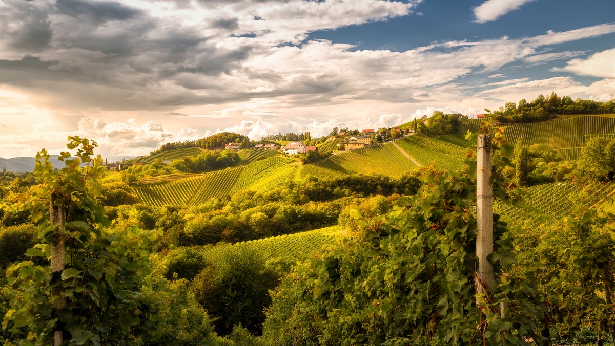 Styria południowa zwana austriacką Toskanią to kraina łagodności między Grazu a granicą ze Słowenią