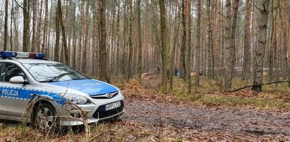 W lesie pod Bieruniem znaleźli samolot. Obok były ludzkie szczątki