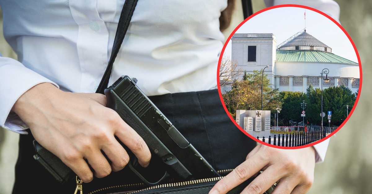 Polacy uzbrojeni w broń palną. Szykuje się rewolucja w ustawie o broni i amunicji. Liberalizacja prawa do jej posiadania już wkrótce tematem sejmowych debat