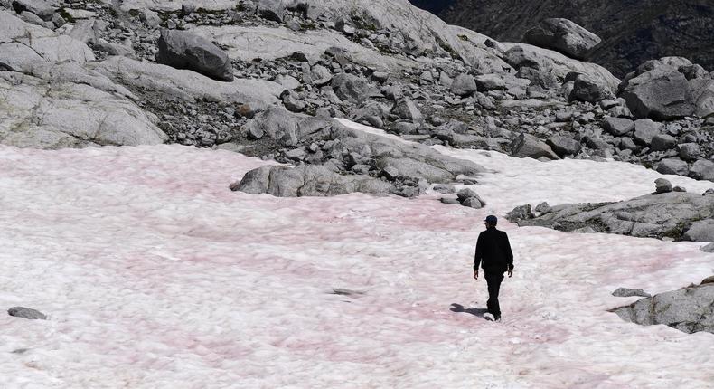 alps pink snow glacier
