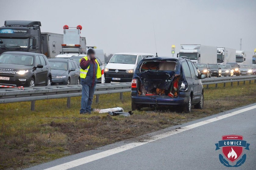 Wypadek na A2. 19-latek wbiegł pod autobus