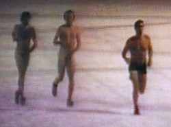 Golasy biegały po wrocławskim rynku