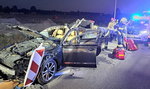 Straszny wypadek na S7! Pędzące auto zderzyło się z łosiem. W środku była rodzina, strażacy musieli ciąć karoserię