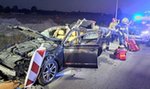 Straszny wypadek na S7! Pędzące auto zderzyło się z łosiem. W środku była rodzina, strażacy musieli ciąć karoserię