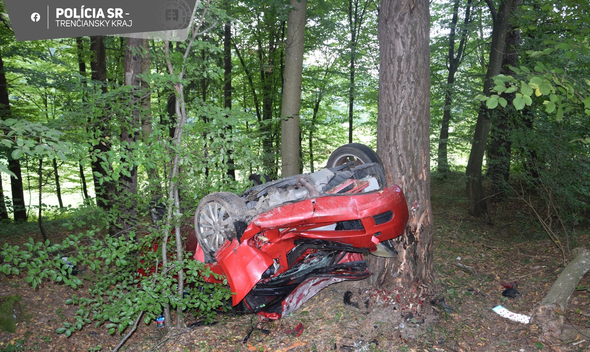 Pri Hornej Porube zišla 45-ročná vodička z cesty a narazila do stromu.