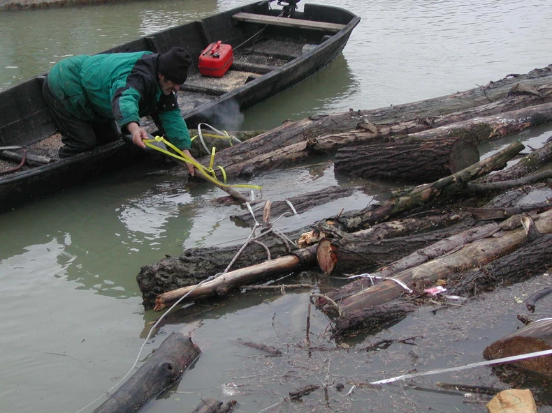 pecanje drva ava Gradiška
