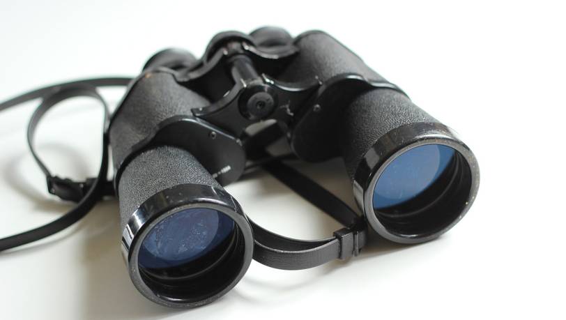 Das richtige Fernglas ab 10x Vergrößerung finden