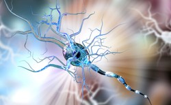 Jak zadbać o zdrowie nerwów? 5 kroków zalecanych przez ekspertów