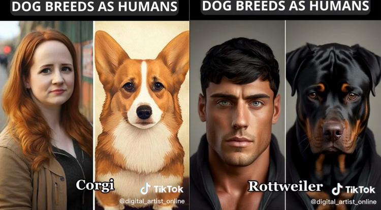 Kutyák és emberek