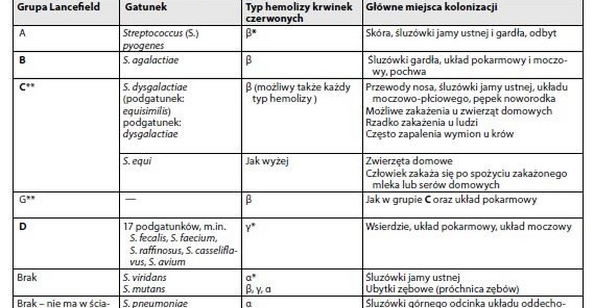 Zakażenie Paciorkowcowe Grupy Paciorkowców Objawy I Leczenie 1868