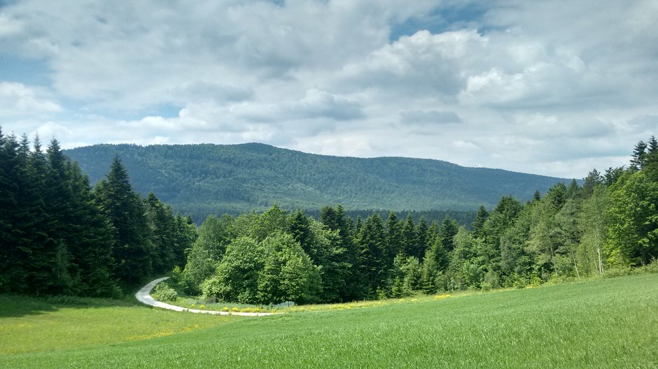 Sądecczyzna – Góry Grybowskie. fot. Jakub Zygmunt