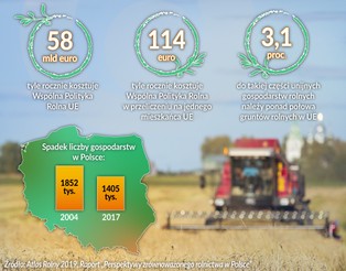 Uprzemysłowienie i chemizacja. Wspólna Polityka Rolna pcha unijne rolnictwo w ślepy zaułek