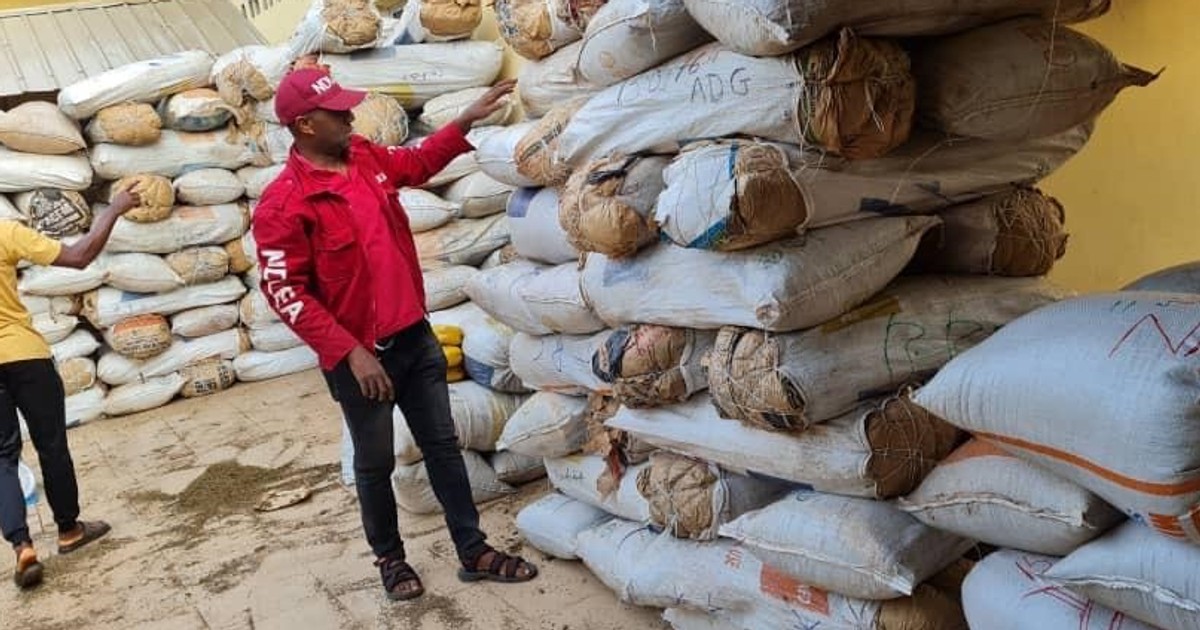 NDLEA seizes 6 tons of skunk in 5 states - Vimarsana News