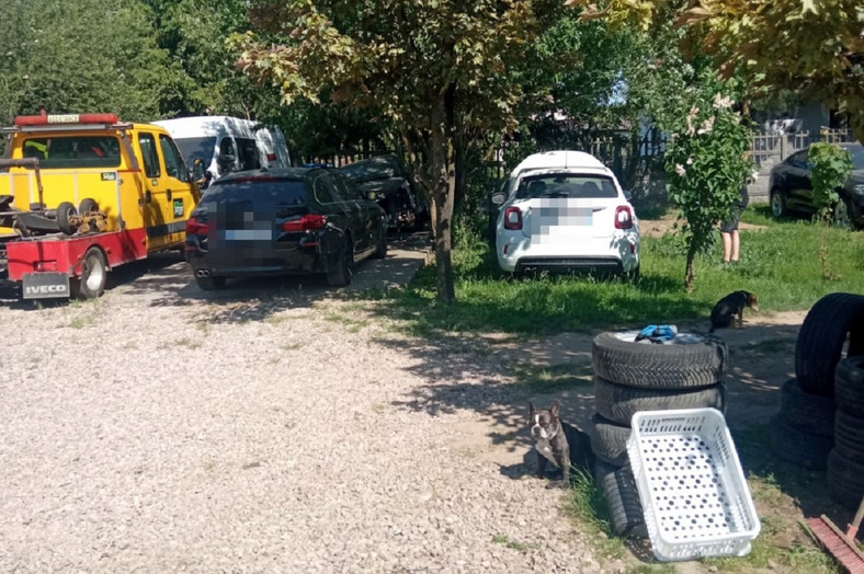 Skradziony Fiat 500X stał porzucony w krzakach