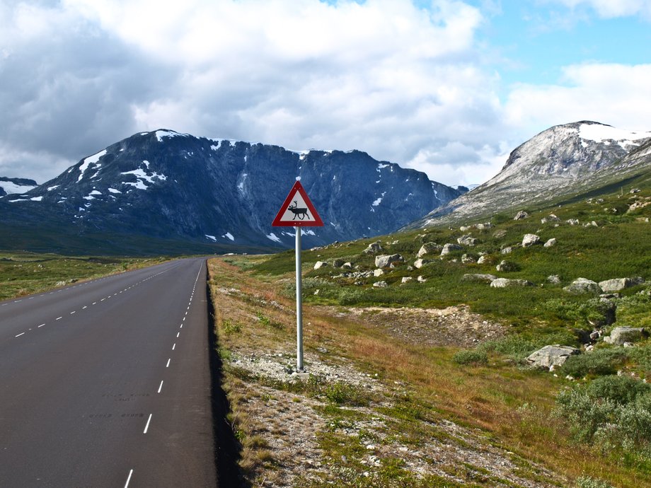 Norwegia pokazuje potęgę natury. Niezwykły kraj fiordów otoczonych wysokimi górami i lodowcami