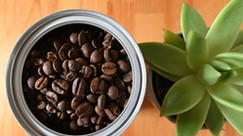 Uganda pulls out of global coffee treaty