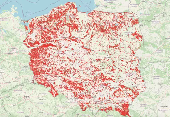 Powstała mapa, która pokazuje planowane wycinki. Co z twoim pobliskim lasem?