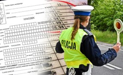 Musisz iść do urzędu, są już daty. Nowy obowiązek dotknie każdego kierowcę