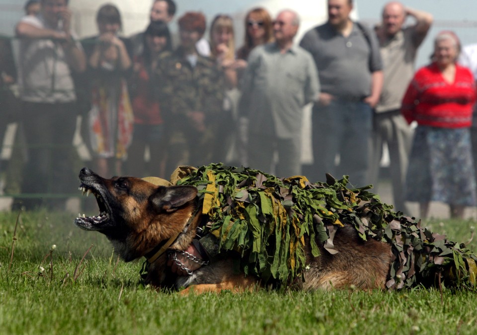 BELARUS ARMY EXHIBITION