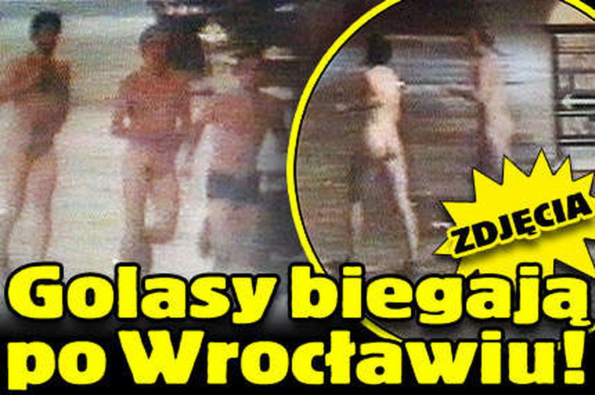 Golasy biegają po Wrocławiu! ZDJĘCIA