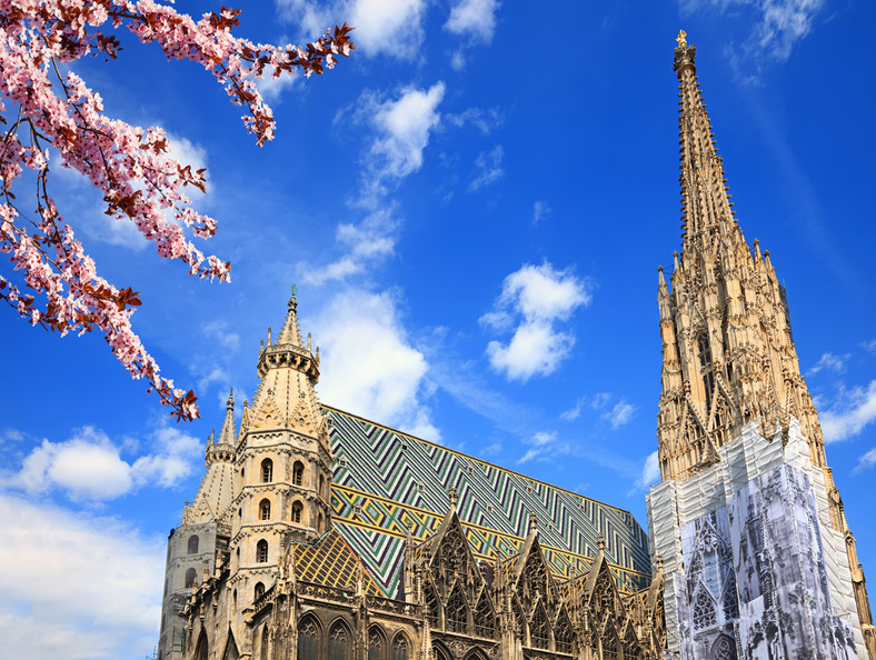 Katedra św. Szczepana (Stephansdom) w Wiedniu