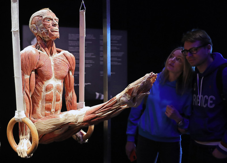 Wystawa "Body Worlds" Gunthera von Hagensa w Moskwie