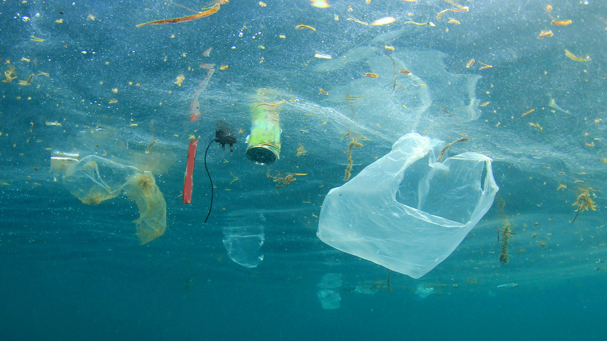 Plastik w ubraniach i jedzeniu. Jak go unikać? Kampania #NonHazPlasticDiet