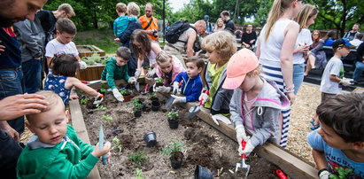 Otwarto nowy park dla krakowian