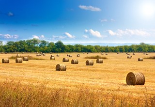 Działki wolne od VAT na podstawie ewidencji