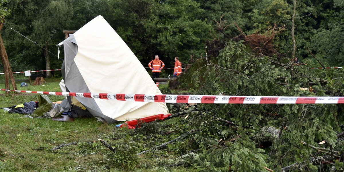 Tragedia na koloniach. Drzewo spadło na dziecko