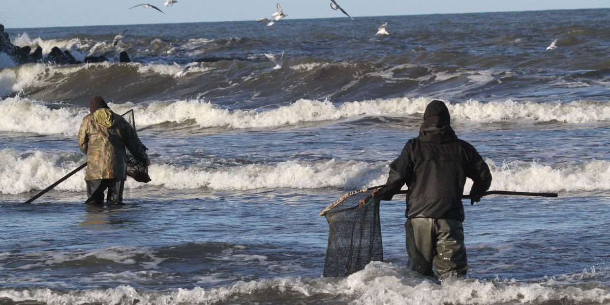 Gdy tylko ustaje sztorm na Bałtyku, na plażach pojawiają się poławiacze bursztynu.