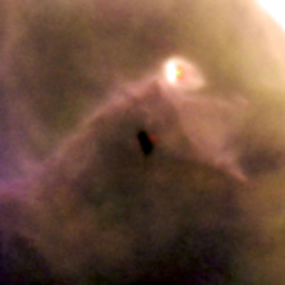 Born in beauty: proplyds in the Orion Nebula