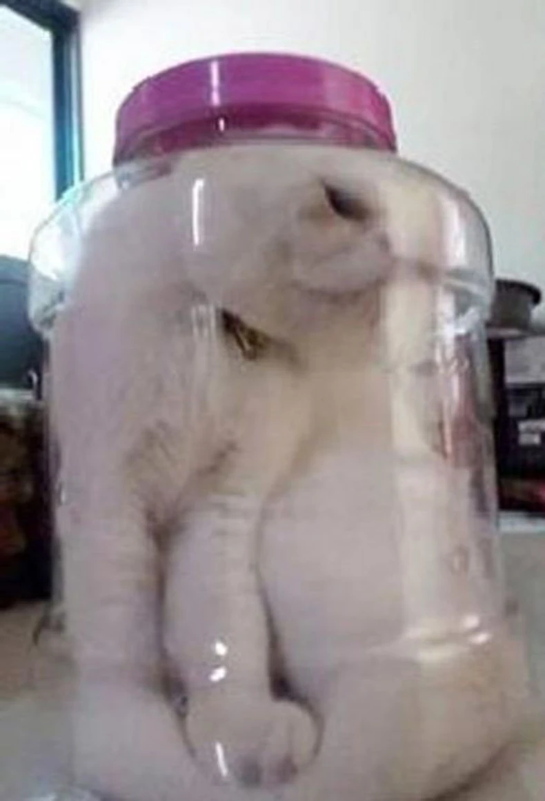 Slika koja je šokirala javnost