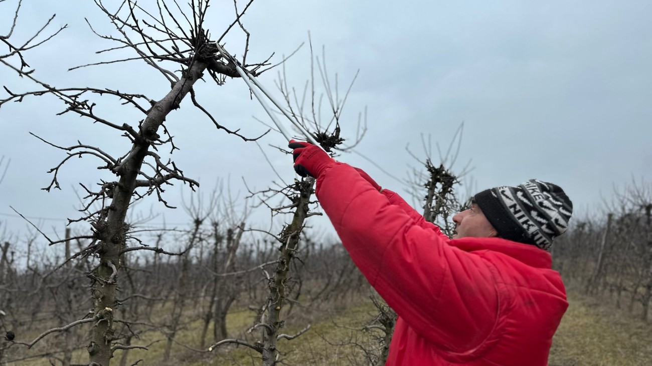 Radnici za ovaj posao u Srbiji su trenutno najtraženiji, evo i zašto Kép