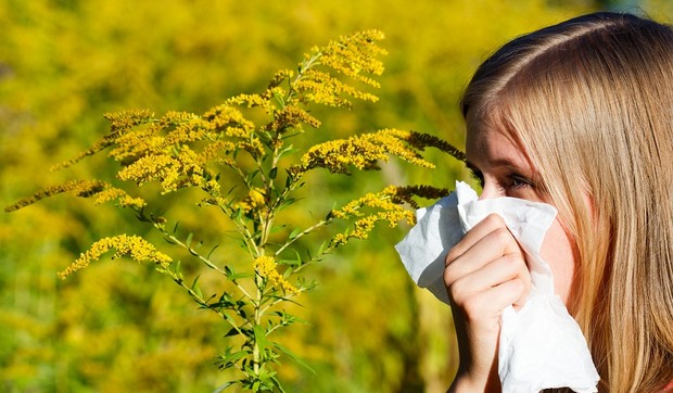 shutterstock 220542709