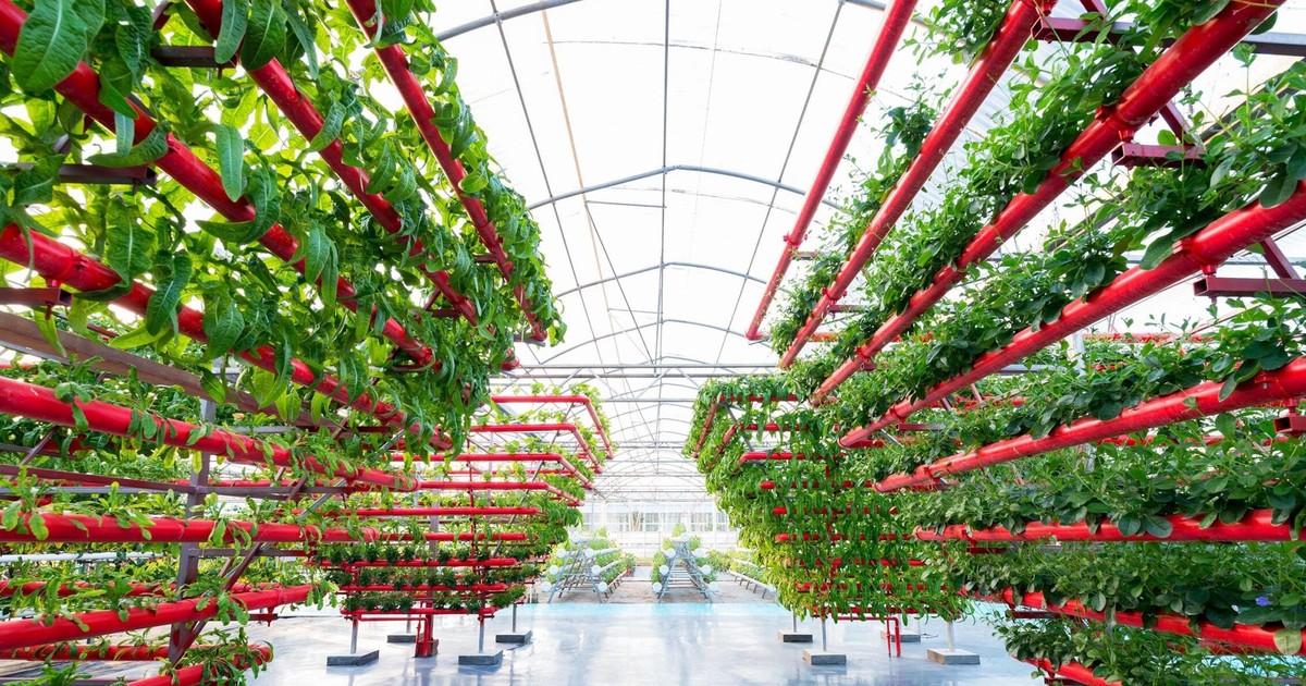 Top 10 biggest agrifoodtech deals in Africa