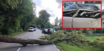 Dramat na Kaszubach. Potężny konar runął na osobówkę