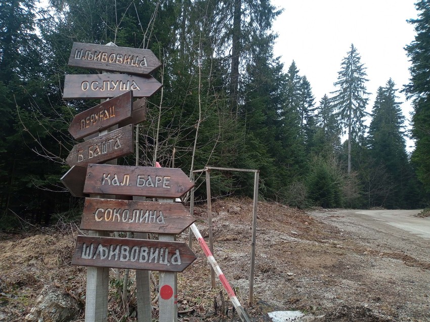 Na Tari postoji 300 kilometara uređenih staza