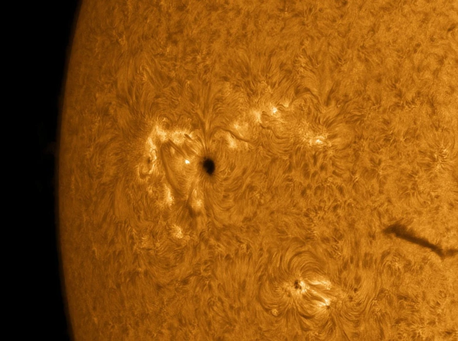 (+) FOTO: Profimedia.rs