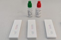 Kim jest pierwszy Polak z koronawirusem? "Pacjent zerowy będzie dla nas szkołą"